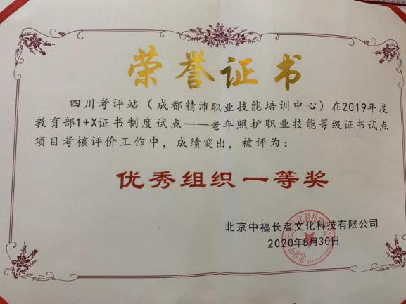 2019年度優秀組織一等獎（1+X老年照護職業技能登記證書試點項目）